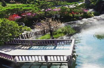 허브아일랜드 라벤더 축제 베네치아존_1