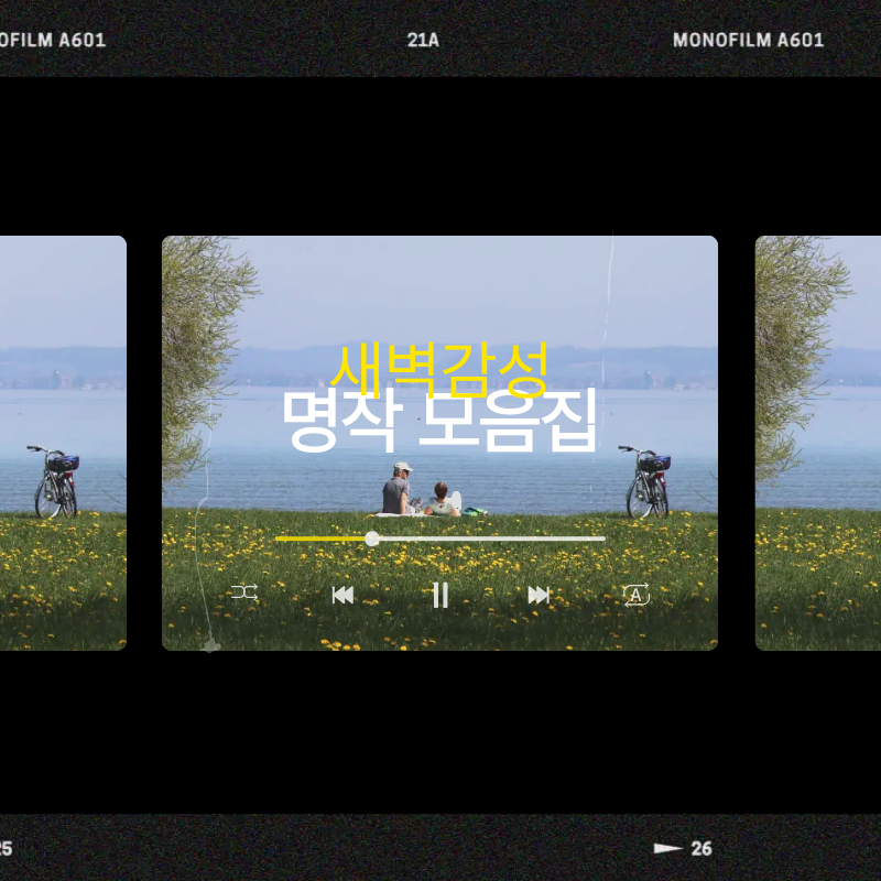 잠 안 올 때 보기 좋은 영화 추천과 새벽 감성 명작 모음