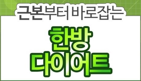 비만치료-한방