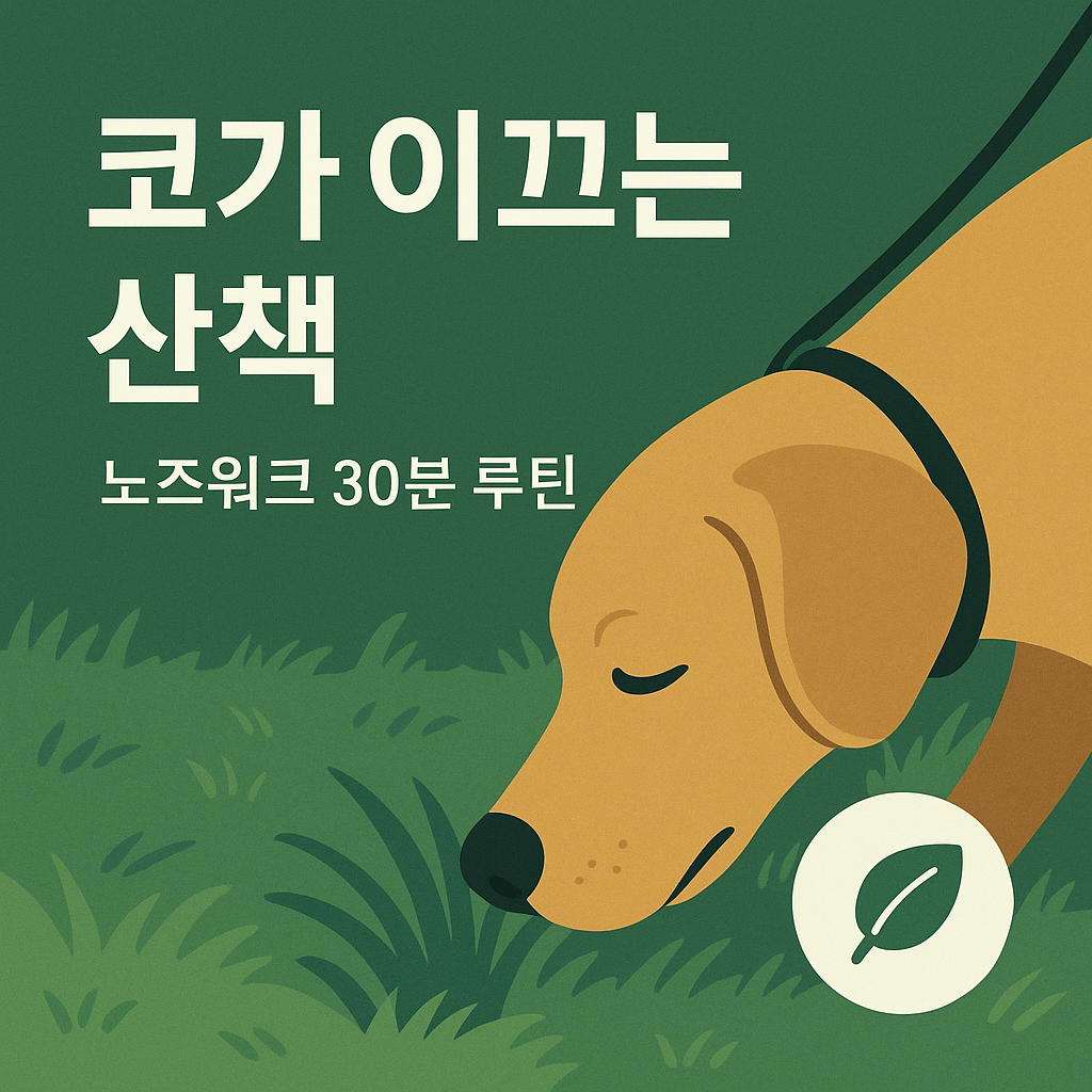 노즈워크 산책 방법