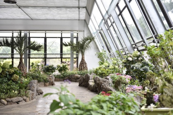 카멜리아힐 까페 사진