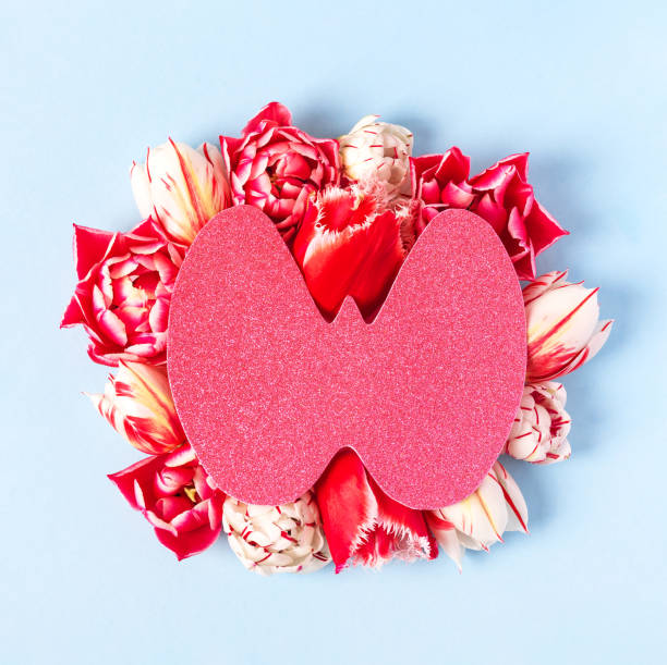 갑상선기능저하증 증상