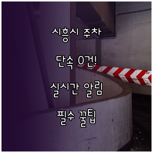 시흥시 주정차 단속 구역 실시간 문자..