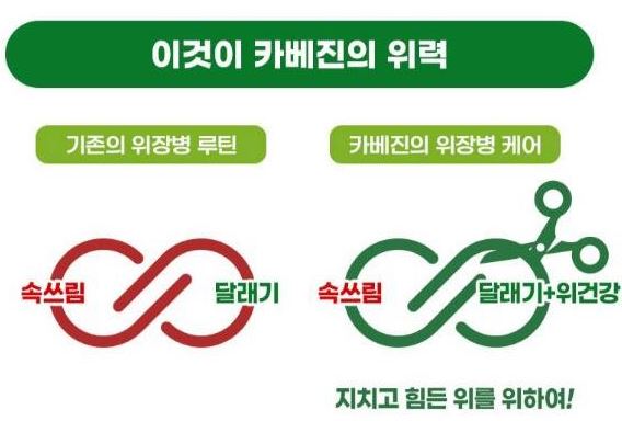 일본-위장약-카베진-효능