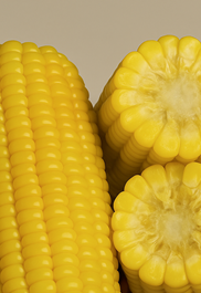 초당옥수수 삶는법