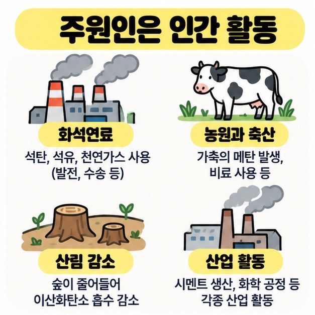 지구온난화의 주요 원인인 화석연료, 농업과 축산, 산림 감소, 산업 활동을 정리한 카드