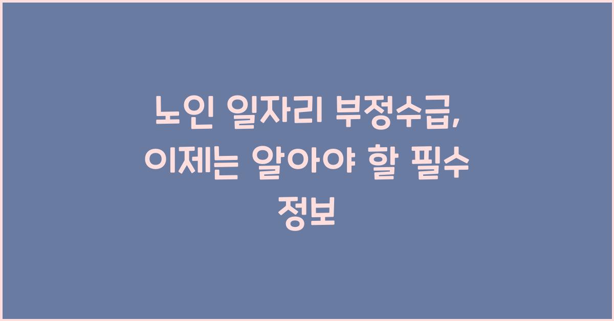 노인 일자리 부정수급