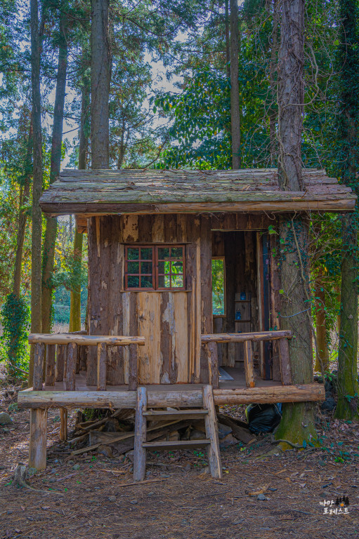 비케이브 캠핑 포토존