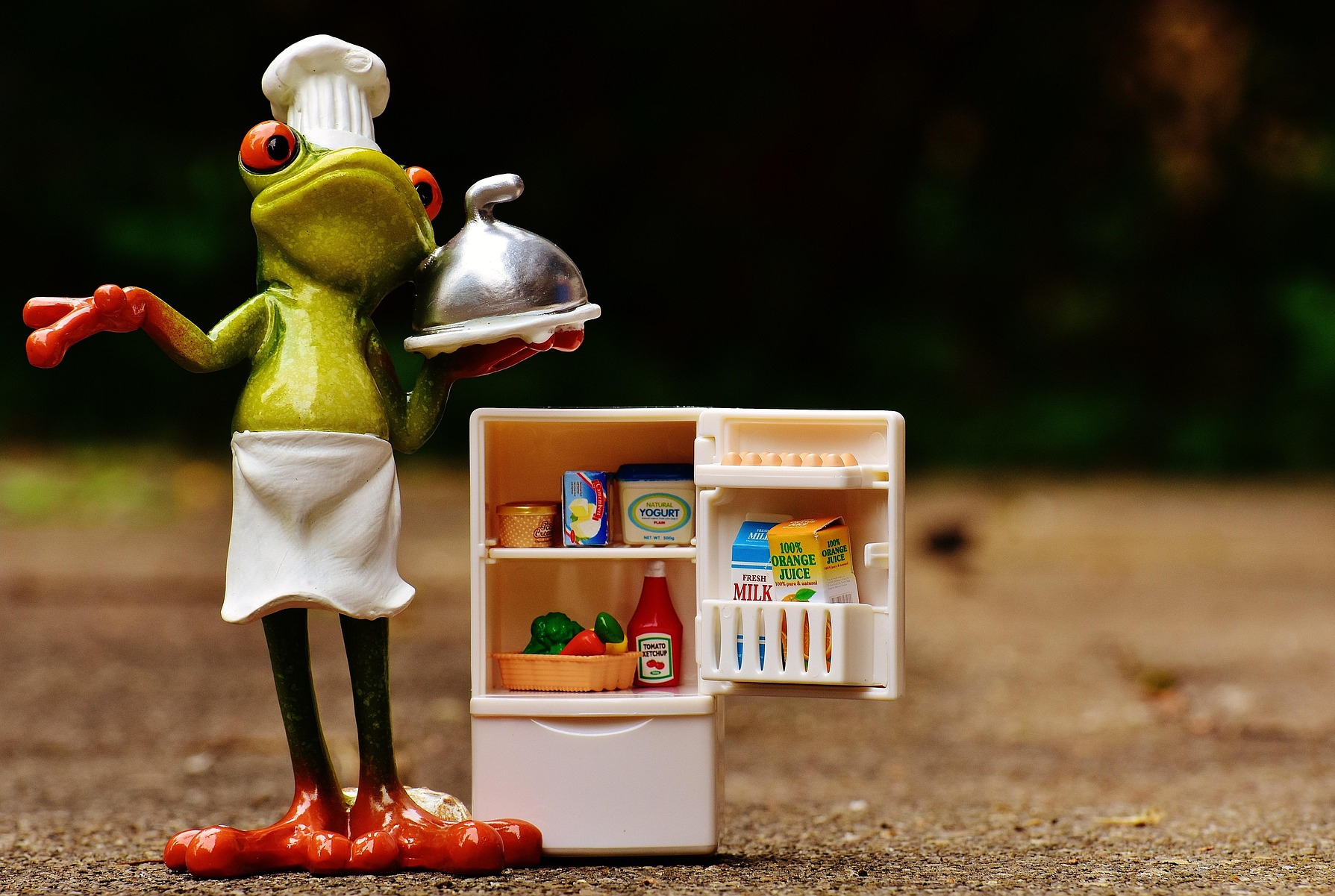 개구리가 셰프가되어 쟁반접시를 들고서 미니냉장고를 열고 있는 코믹하고 귀여운 이미지
