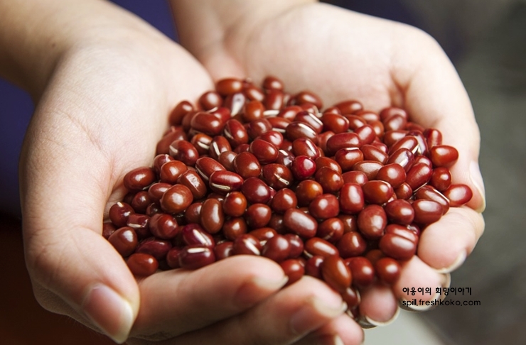 신장에 좋은 음식