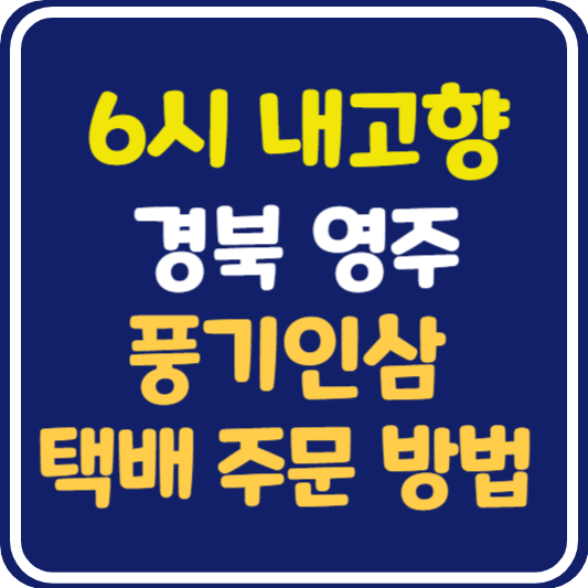 6시 내고향 영주 풍기인삼 택배 주문 방법 : 출장 내고향 요리사