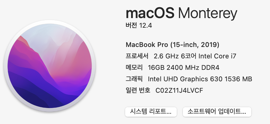 애플 OS 몬터레이