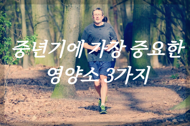 중년기에 가장 중요한 영양소 3가지