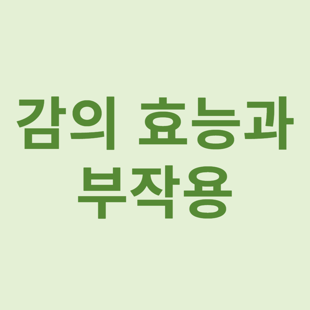 감의효능