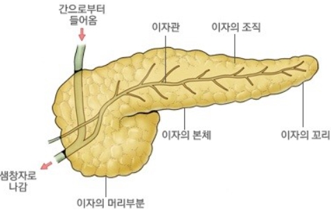 암 등통증