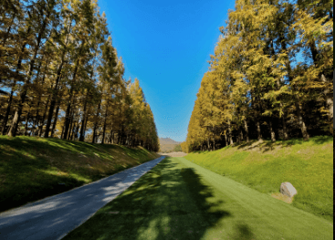 2025 하이트진로 챔피언십 무료티켓&middot;주차&middot;갤러리 총정리