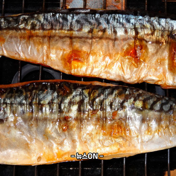 비타민B3가 많은 식품