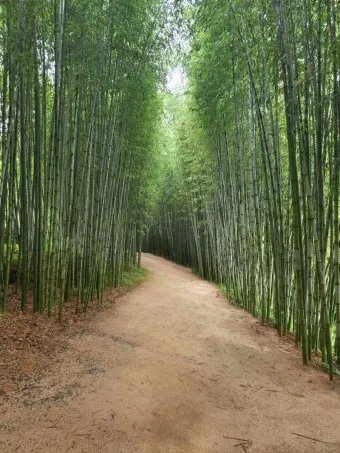 담양 맛집 베스트10 진짜 현지인만 아는곳_2