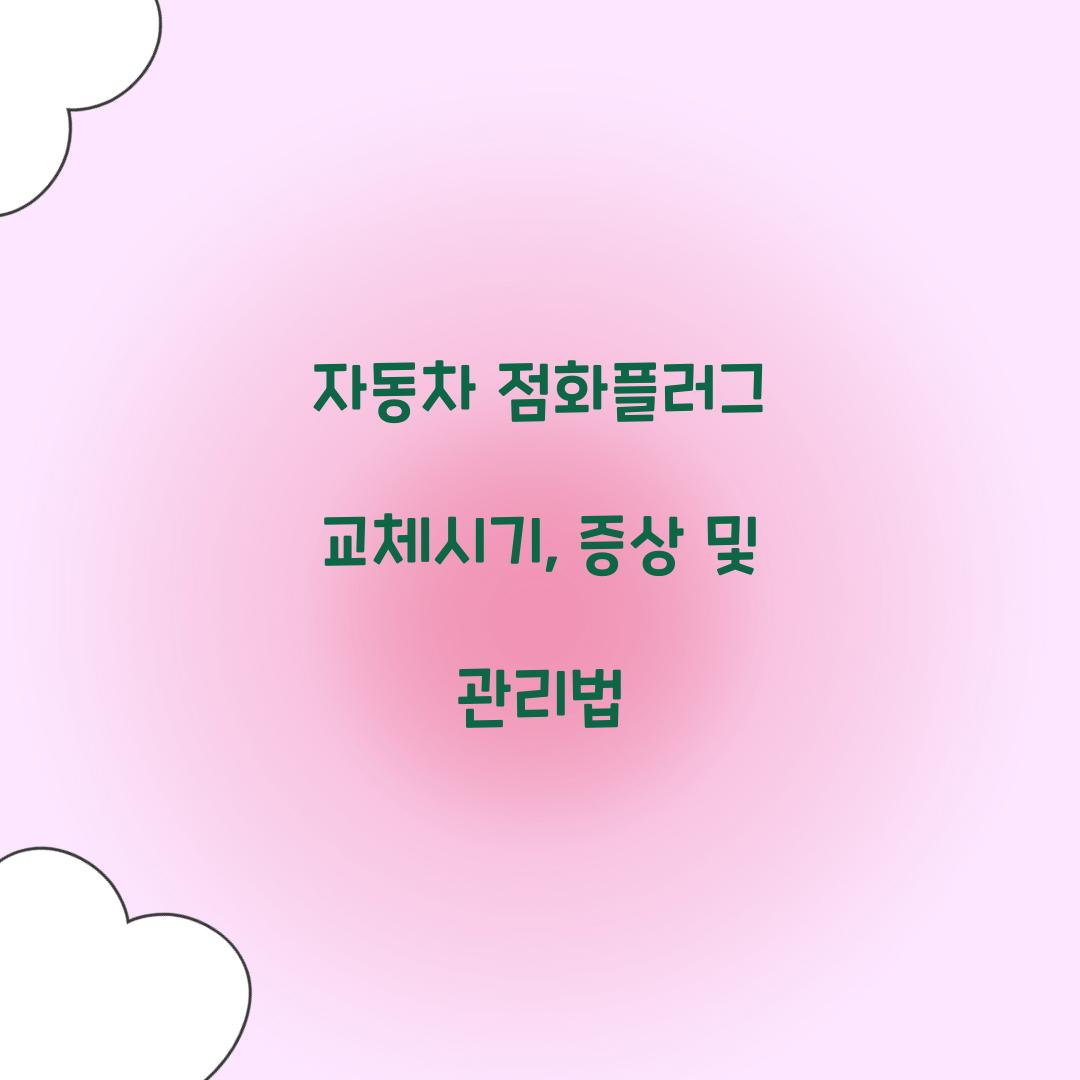 자동차 점화플러그 교체시기