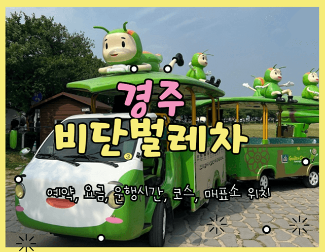 경주 비단벌레차 예약