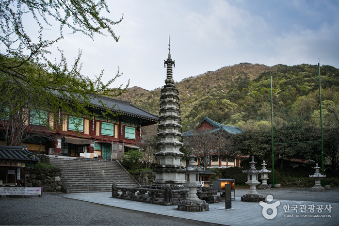 하동 가볼만한곳 베스트10