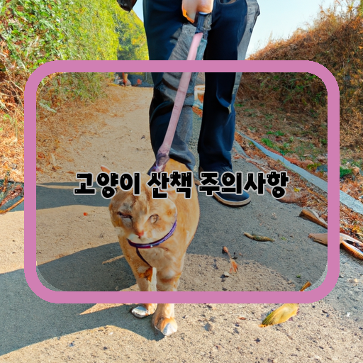 안전한-산책-고양이