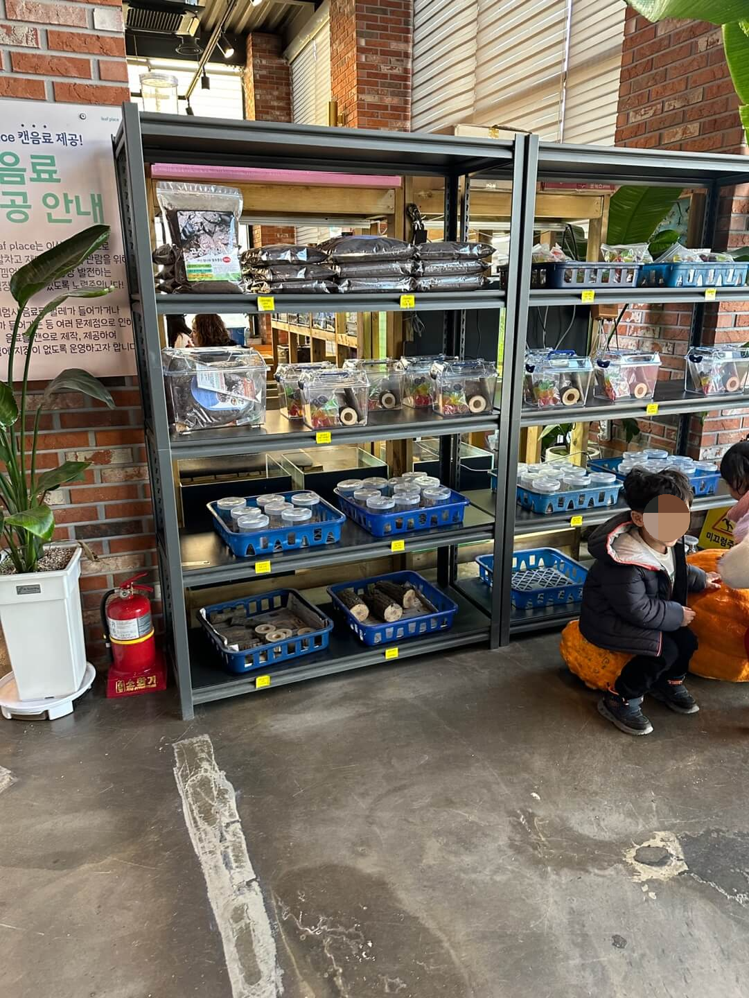 리프플레이스 장수풍뎅이 구매 곤충 체험 용품 판매 공간