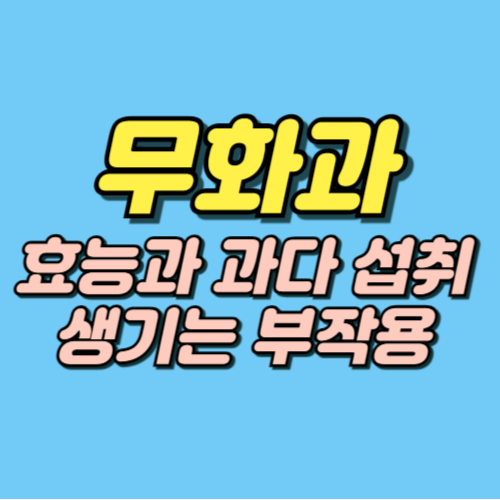 무화과 효능 부작용