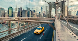 자동차 번호판의 색깔과 숫자