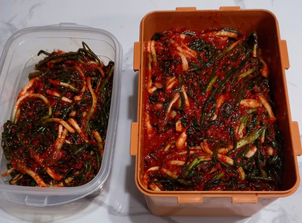 맛있는-파김치가-왔어요.