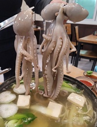 산낙지볶음