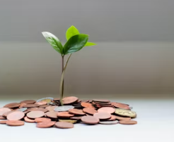 청년내일저축계좌 신청방법, 자격조건 총정리