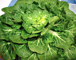 봄동 겉절이 대표 이미지