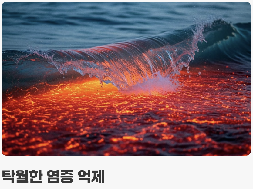 붉은 보석 속 '안토시아닌'의 마법
