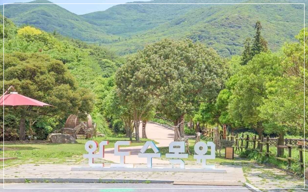 완도 가볼만한곳 베스트10 완도수목원(국립난대완도수목원)