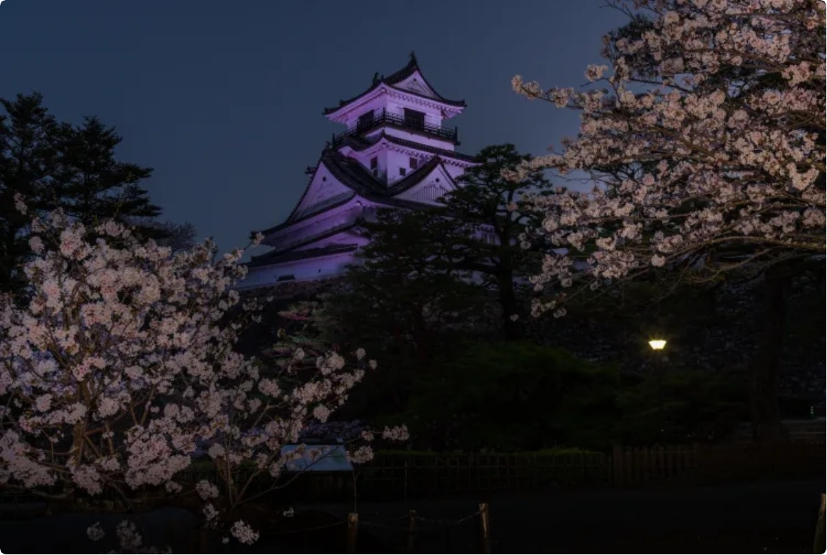 자연과 역사, 그리고 미식의 도시 – 시코쿠 고치 여행기