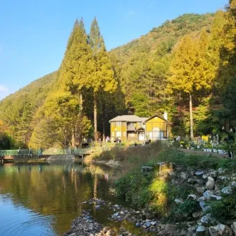 자연 속 힐링 2025년 국립자연휴양림 여름 명소 추천 3곳 완벽 여행_13