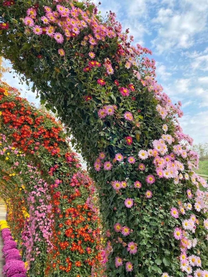 10월 지역 축제 충남 충북 가을 축제 정보