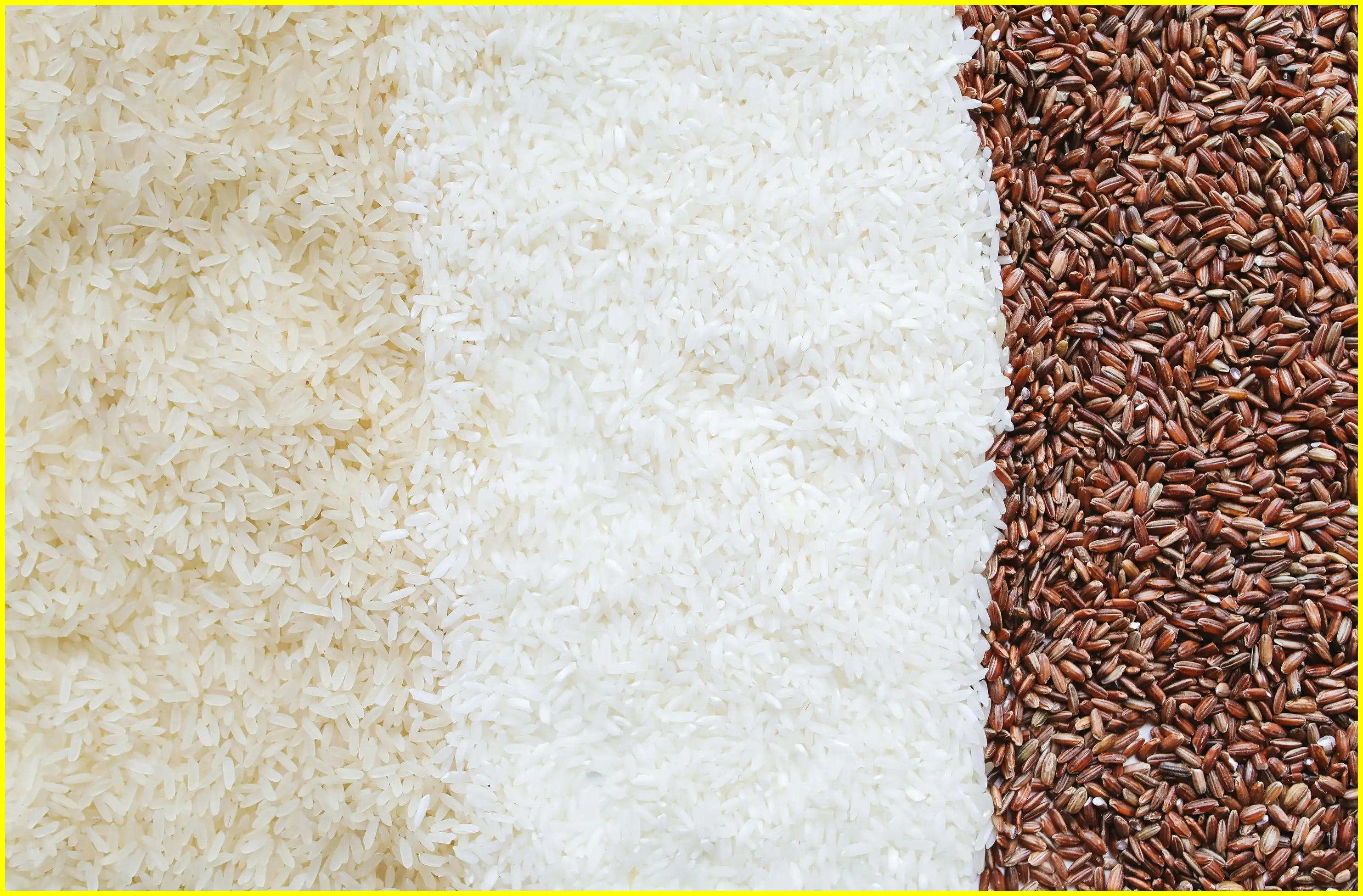 우리쌀 우리술 k-라이스페스타 일정 및 사전등록 무료관람 꿀팁