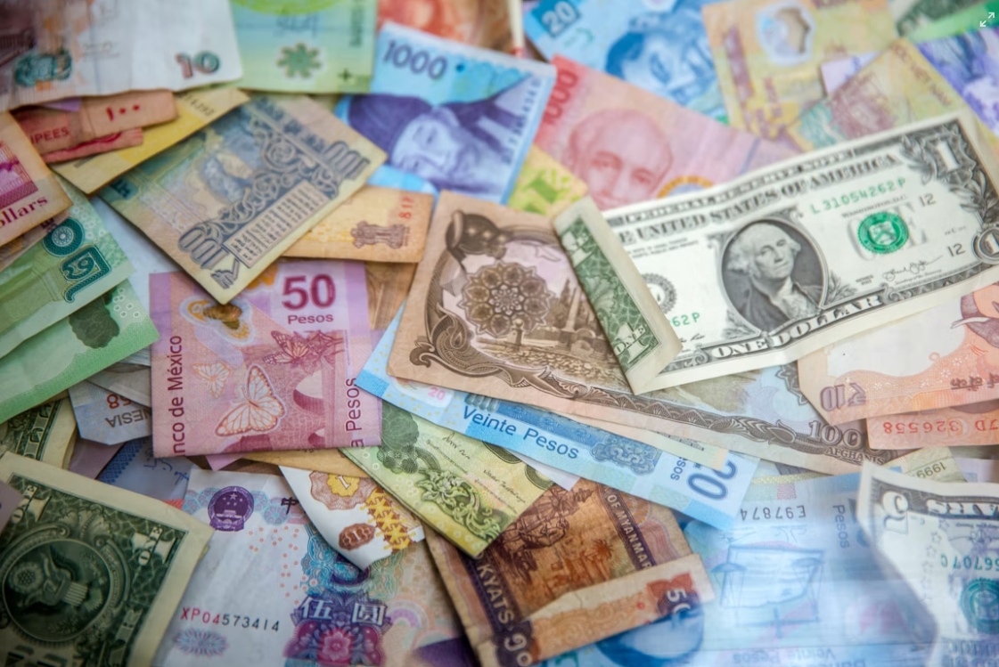 (대전)민생회복 지원금