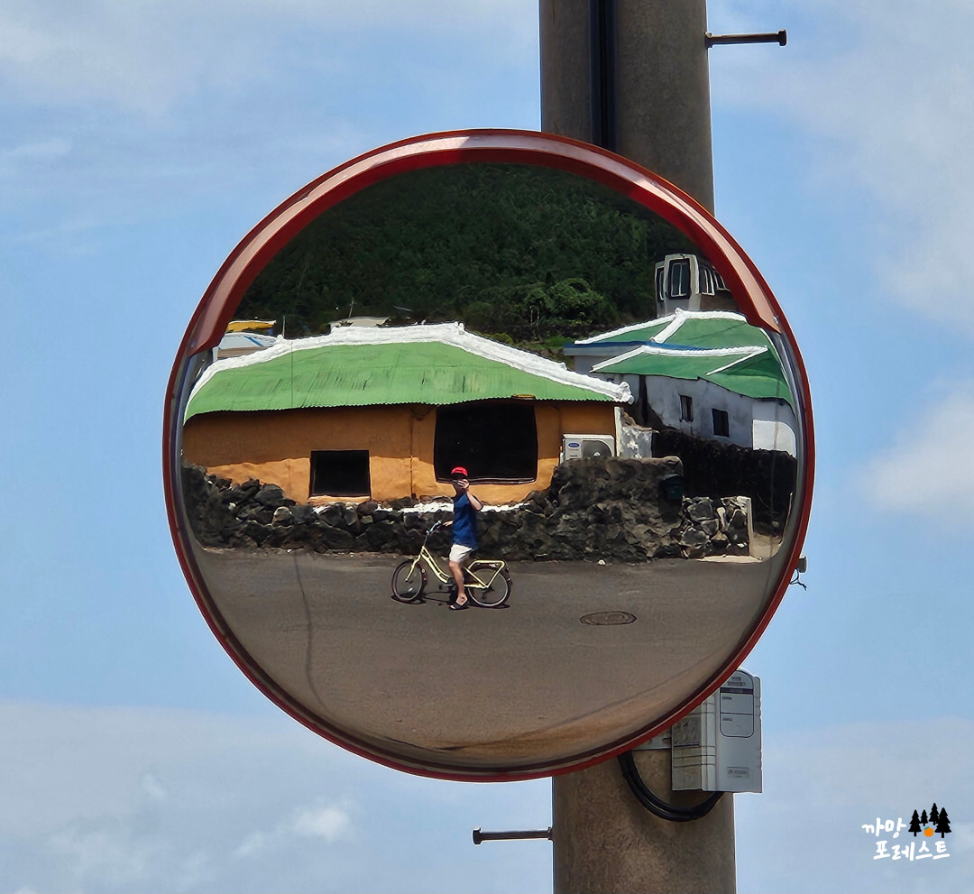 종달리다 거울사진