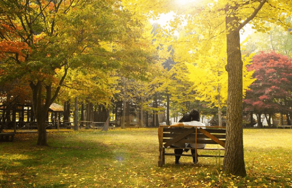 서울근교 단풍명소 추천