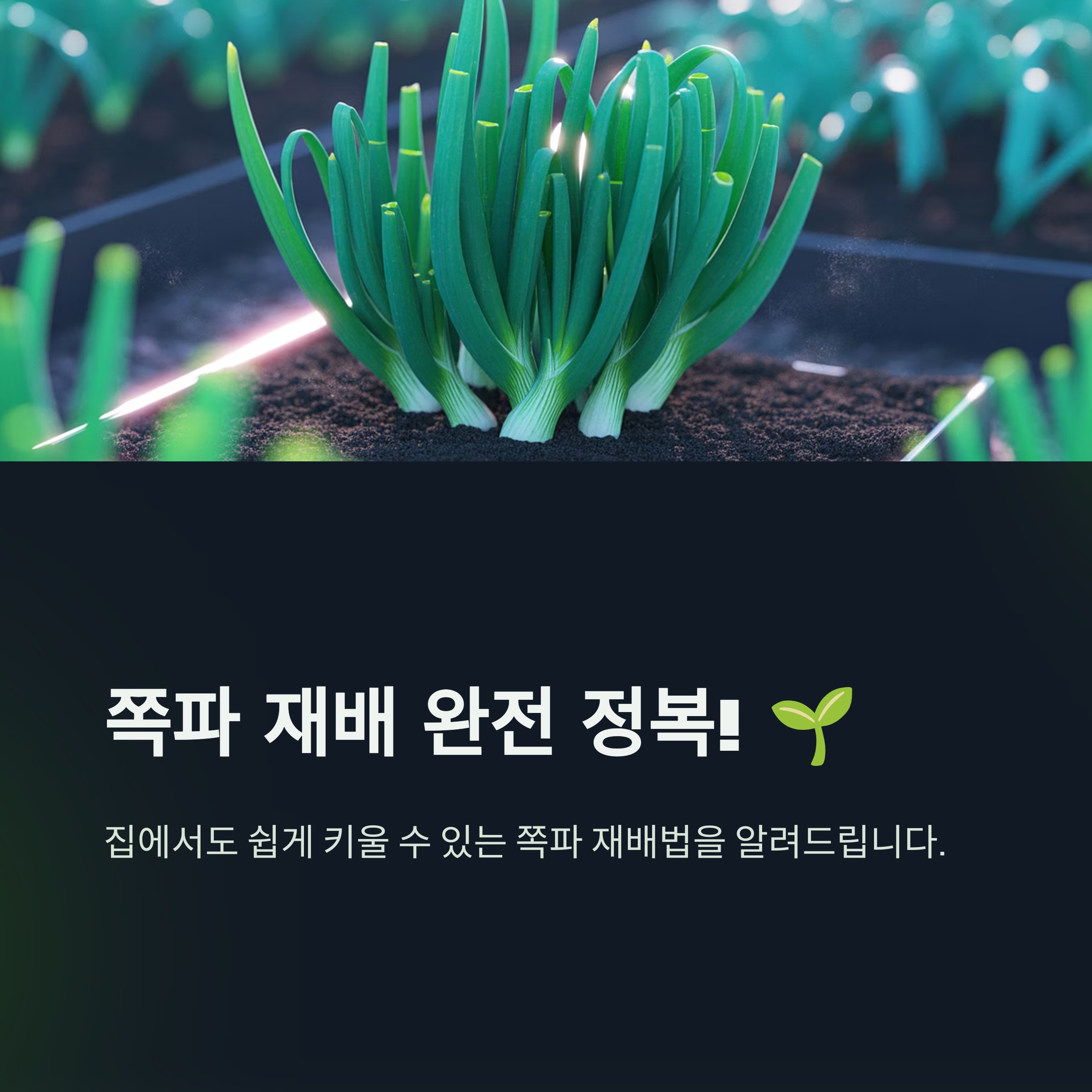 쪽파 재배 완전 정복! 심기부터 수확까지, 맛있고 건강한 쪽파 키우는 비법