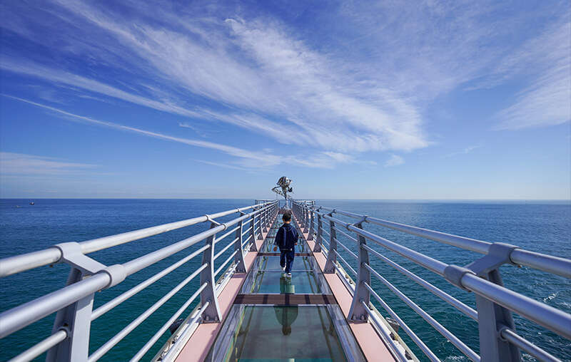 경북-울진-등기산스카이워크