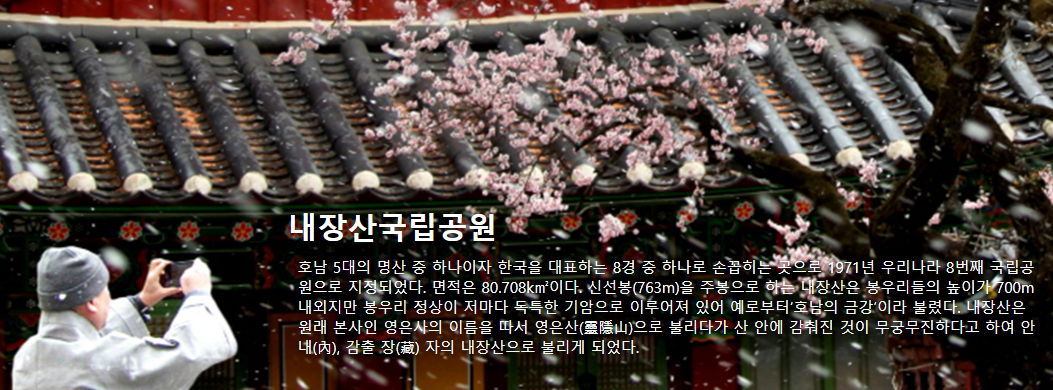 내장산 케이블카 예약방법, 요금, 운행시간, 주차장 총정리