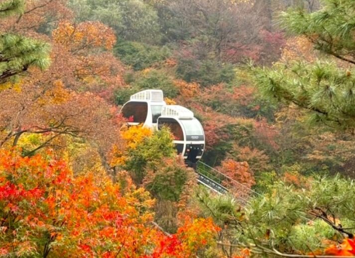 화담숲 입장권&amp;#44; 모노레일 예약 안내