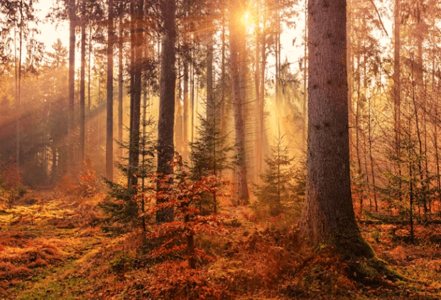 가을철 눈 건강 비상! 백내장 유발 자외선 예방 꿀팁