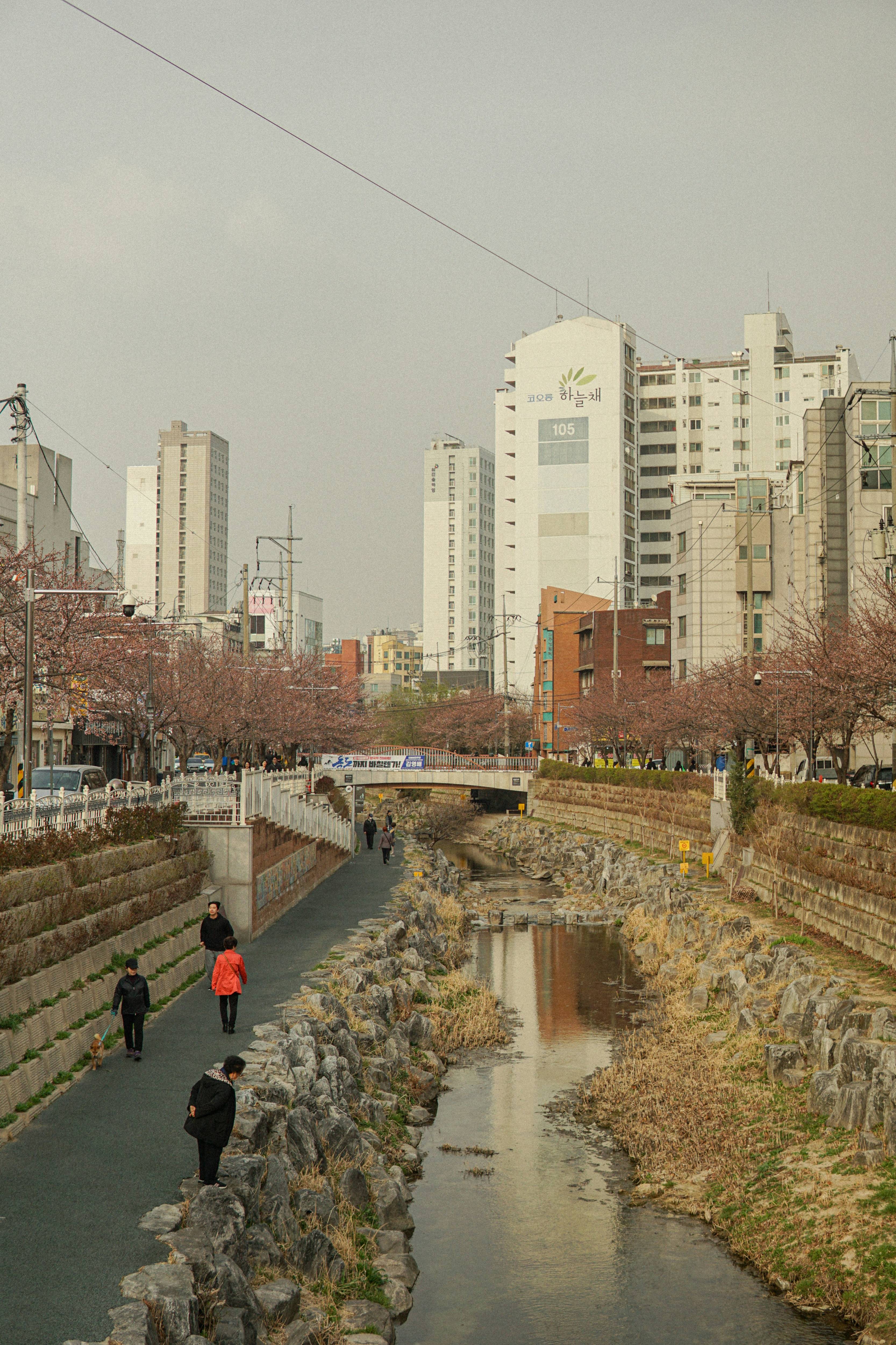 우리나라 이미지