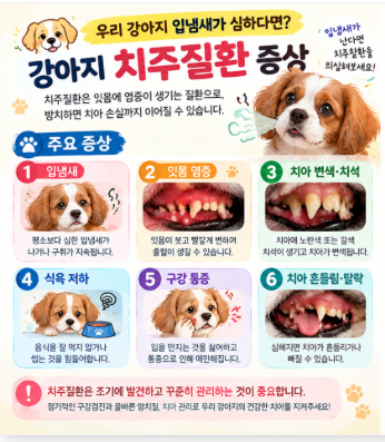 강아지 치주질환 모르고 방치했다면? 생각보다 심각한 이후의 변화