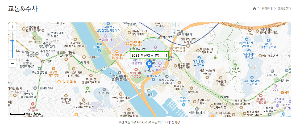 부산캣쇼_오는길